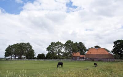 Woonboerderij met schuur, paardenbak en weiland: 10,4% of 2% overdrachtsbelasting?