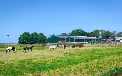 Correctie gebruikelijk loon via inkomstenbelasting of loonheffing?